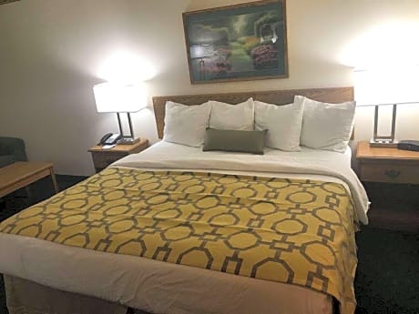 1 King Bed Non-Smoking