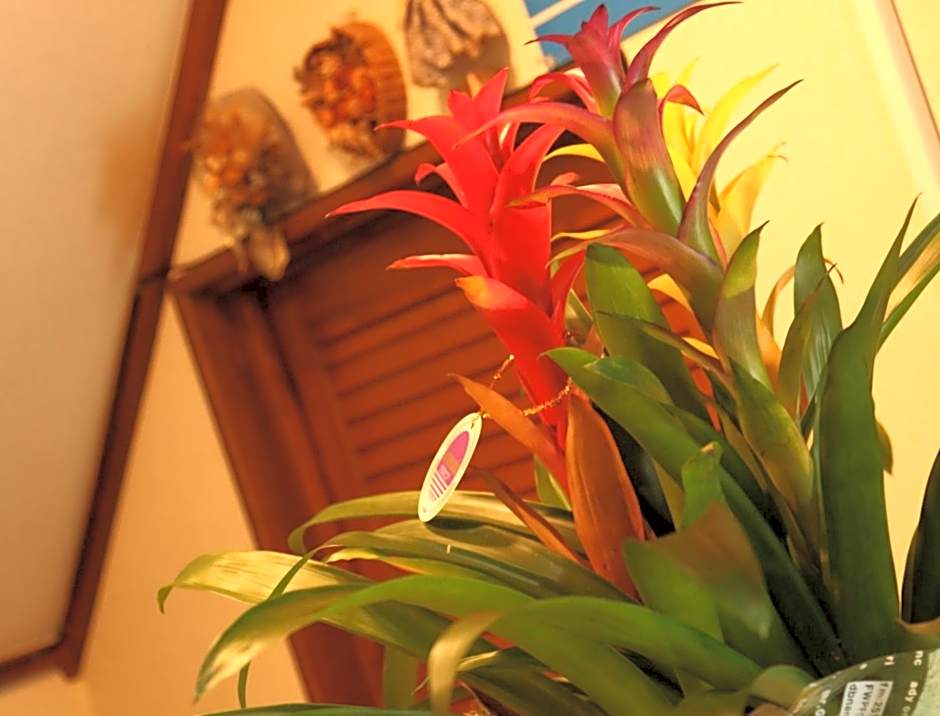 Suimeiso