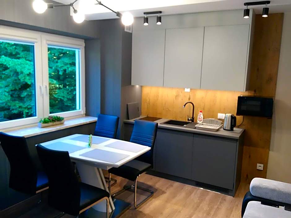 Kurort Kozubnik Apartament 33 Wellness &SPA