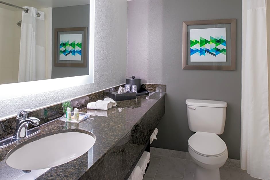 Holiday Inn Hotel and Suites Beaumont-Plaza I-10 & Walden, an IHG Hotel