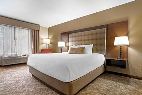 King Room with Spa Bath - Non-Smoking