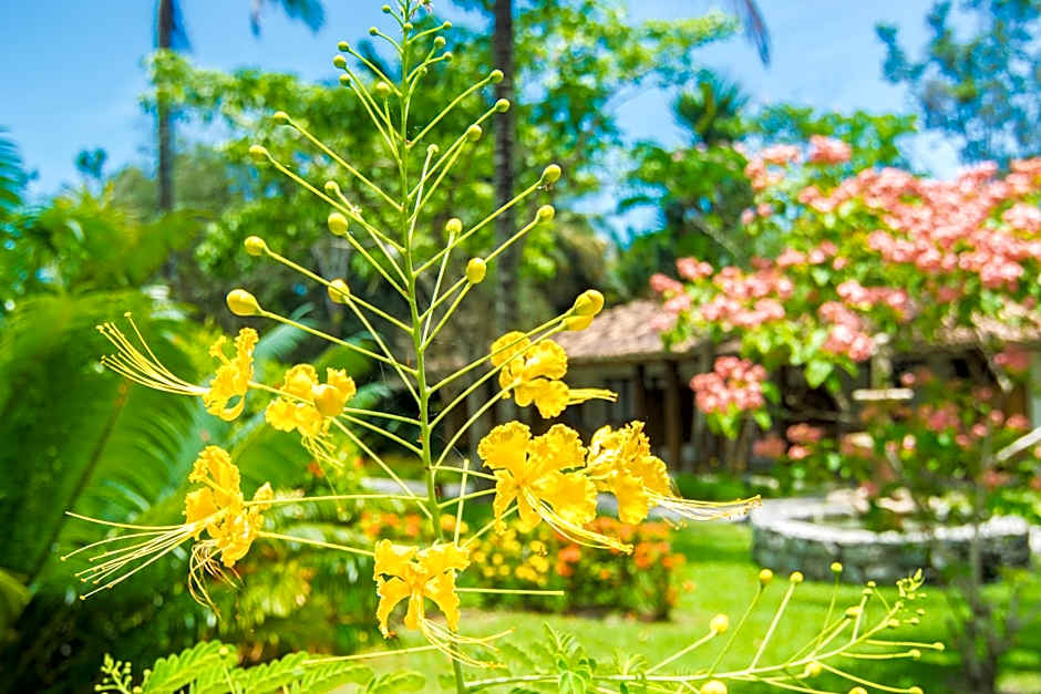 Manacá Pousada Parque