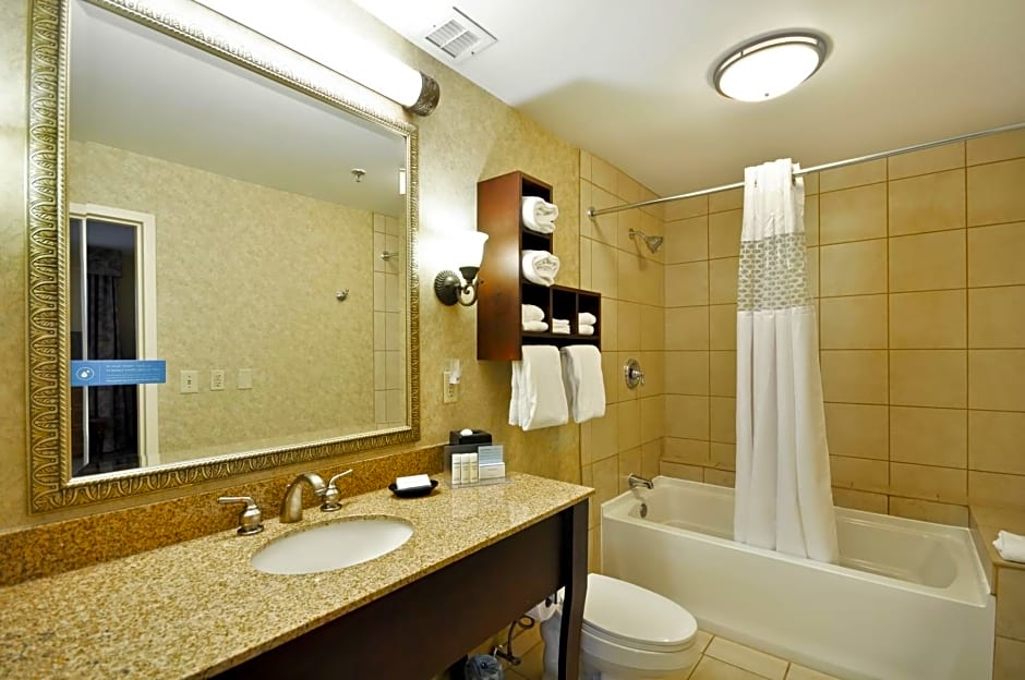 Hampton Inn Charleston-Historic District