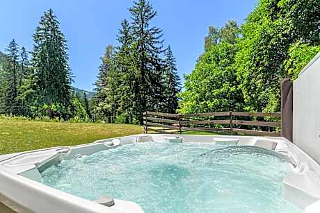 Hotel Casa Viorel jacuzzi & saunas