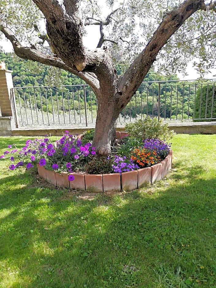 La Casa Tra Gli Ulivi