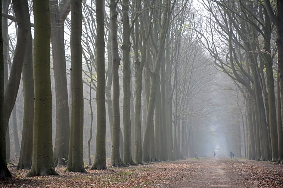 Beeltjens B&B: Wolf&Belle