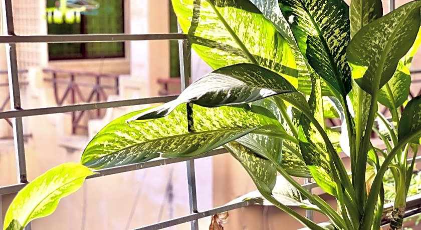 SKY Residence - 50m to Museum and Riverside