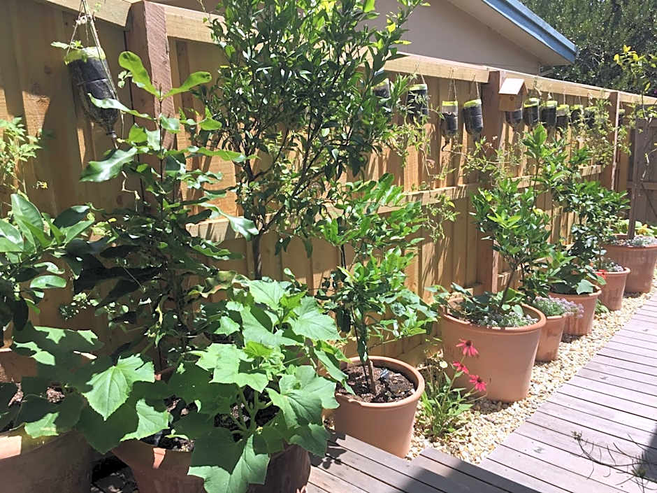 Sunny Side Up Bed and Breakfast