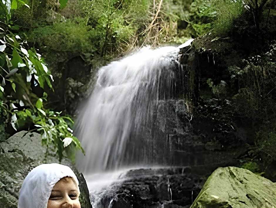 Forest Creek Lodge And Spa