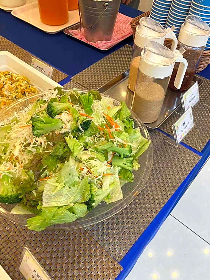 Toyoko Inn Yashio Ekimae