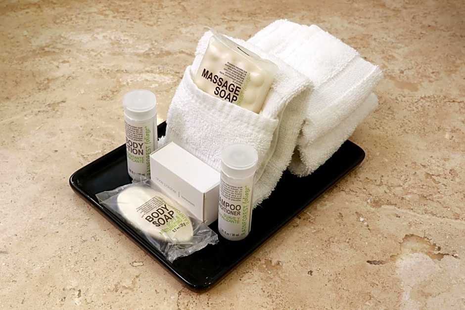 Wyndham Garden Guadalajara Acueducto