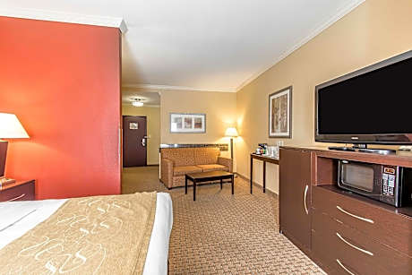 1 Bedroom Suite