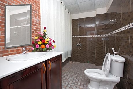 Deluxe Double or Twin Room with Private Bathroom