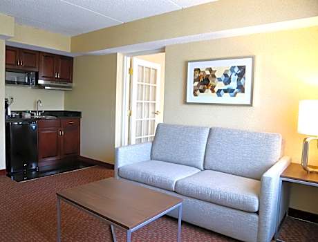 1 King Bed 1 Bedroom Suite