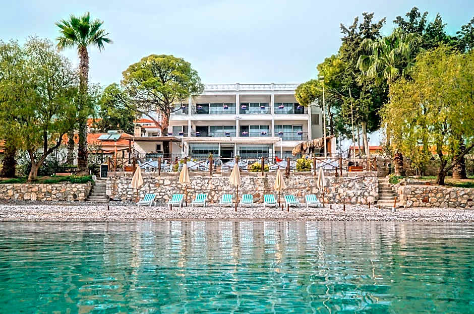 Photo 1 sur 50 de Fuda Hotel