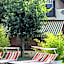 I Lecci Guesthouse
