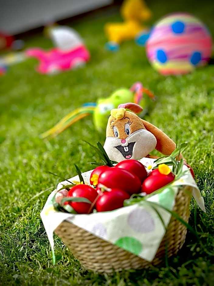 Casa de Lemn Arpasu de jos