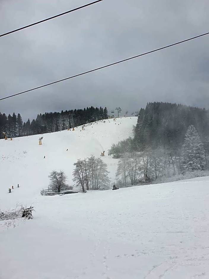 Waldhof Hochsauerland