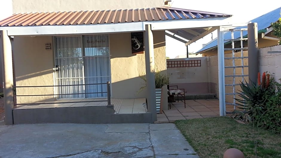 Lazy Gecko Accommodation