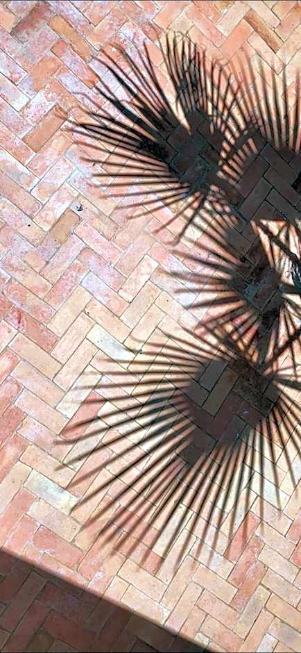Riad Aloes & Spa