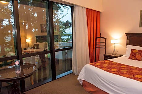 Executive Double 1 bed