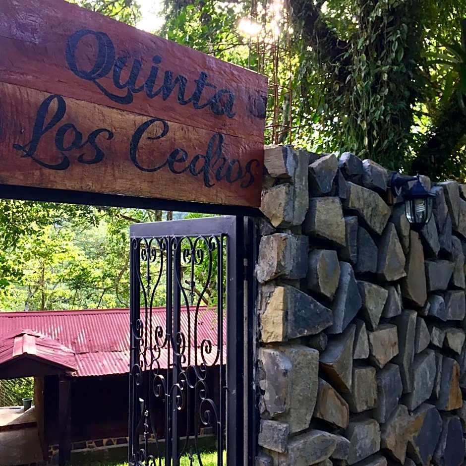 FINCA QUINTA LOS CEDROS