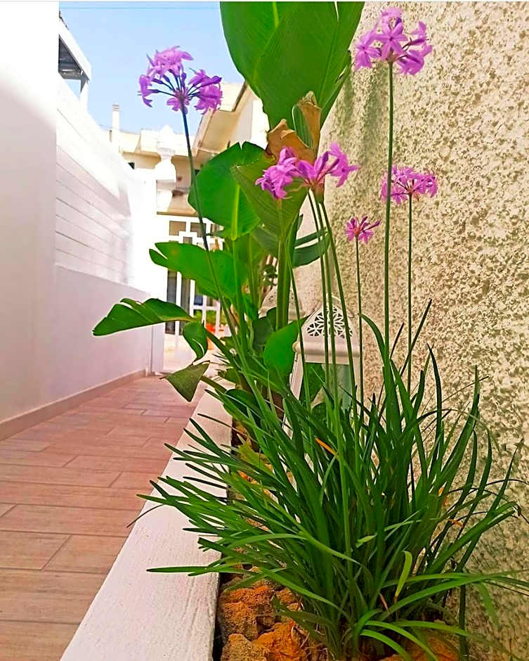 B&B Suites Via del Mare