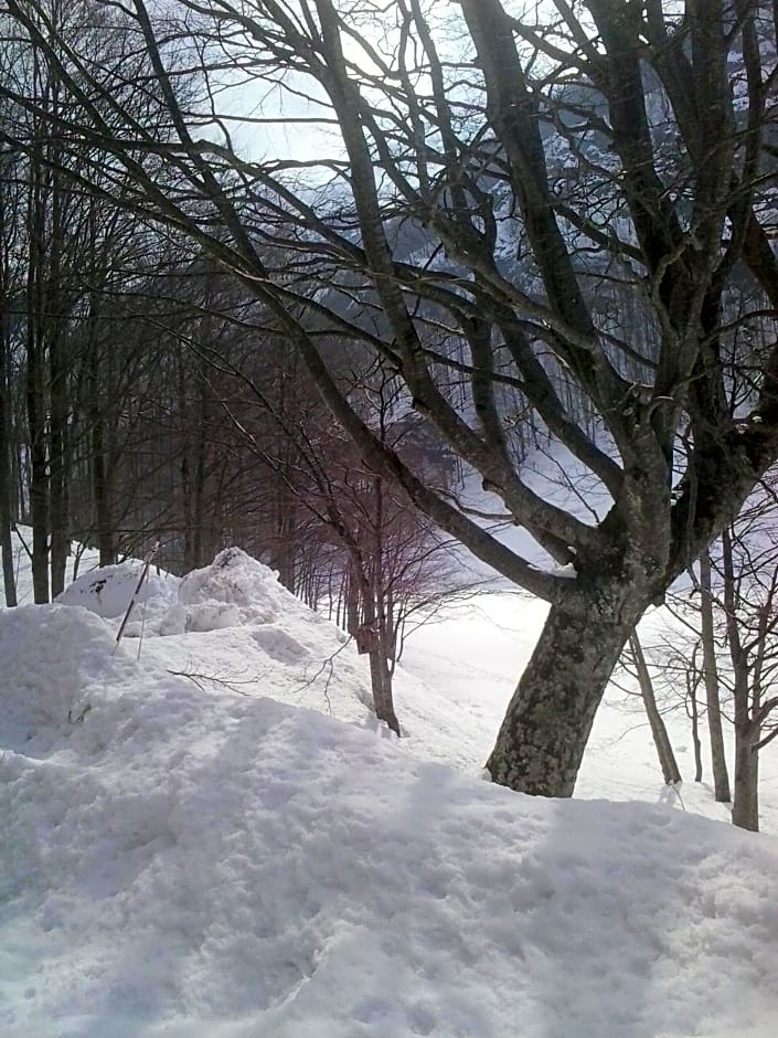 Appartamento il Bosco