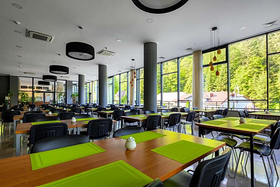 Silesia Krynica