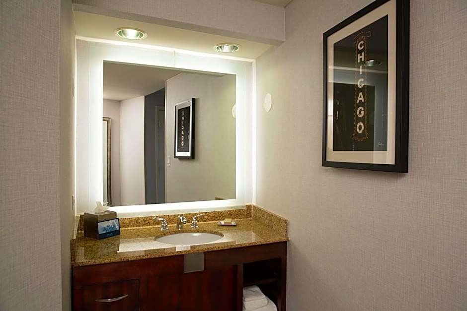 Hilton Chicago/Oak Lawn