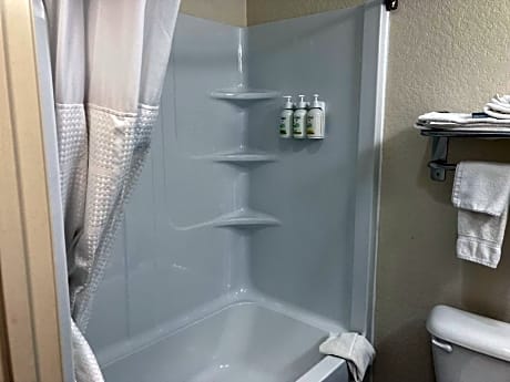 King Room with Roll-In Shower and Sofabed - Mobility Accessible/Non-Smoking