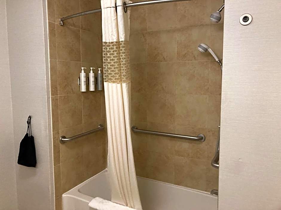 Hampton Inn By Hilton & Suites Carlsbad