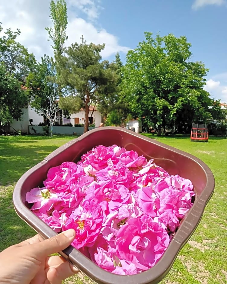 Koca Kapı Konaklama