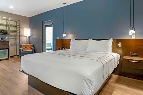 King Room with Walk In Shower - Mobility Accessible/Non-Smoking