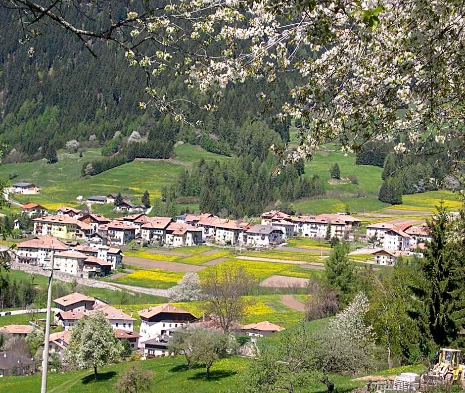 B&B Affittacamere Larix