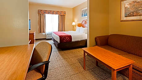 Suite-1 King Bed, Non-Smoking, Microwave And Refrigerator, Flat Screen Television, Sofabed, High Spe