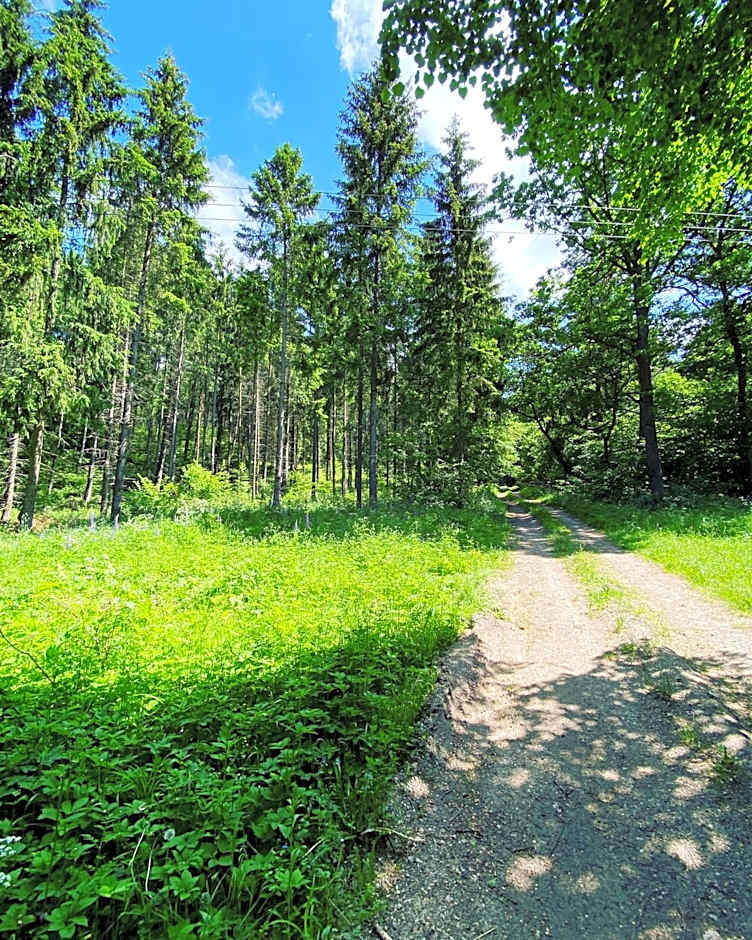 Góra Jabłek Mazury Mikolajki