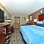 Wyndham Garden Elk Grove Village / O'Hare