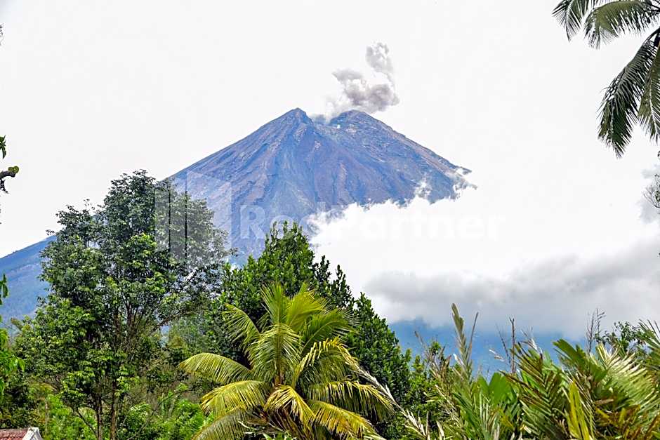 Fanta Home @ Pronojiwo Lumajang RedPartner