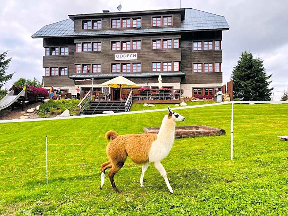 Hotel Oddech