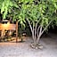 Aldea San Lam - Oasis Of Tulum