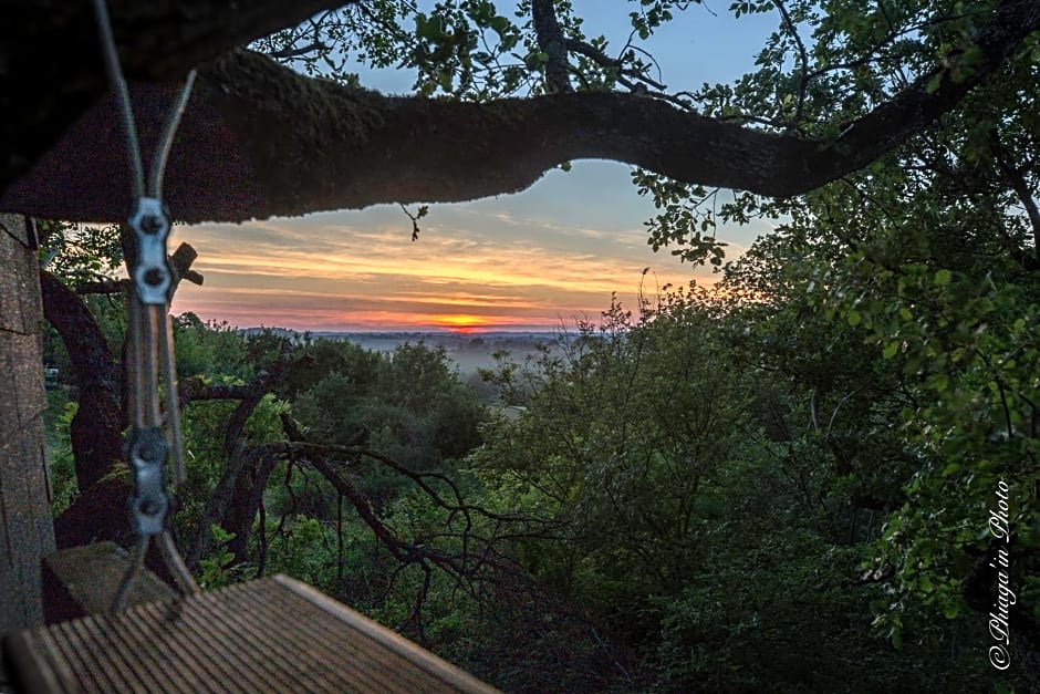 B&B La Cabane Insolite