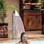 Sondela Nature Reserve & Spa Country House