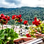 HOTEL CARPAT INN