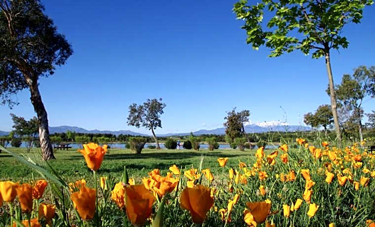 Brit Hotel Porte d'Espagne