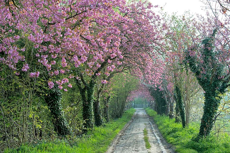 B&B Baron's House Neerijse-Leuven