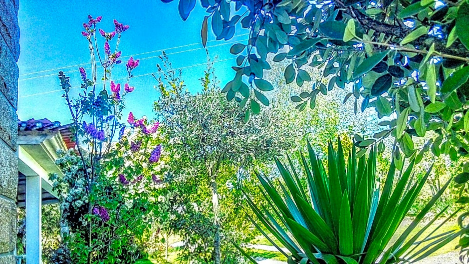 Casa Vale do Rio Ovil
