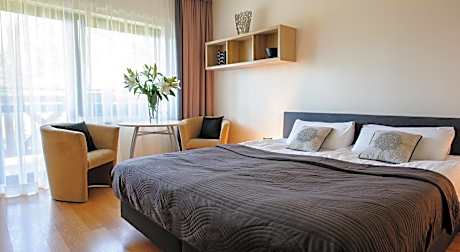 Standard Double Room with Balcony or Terrace