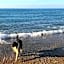 On Holiday Between Sky And Sea geco Di Campiglia pet friendly big garden
