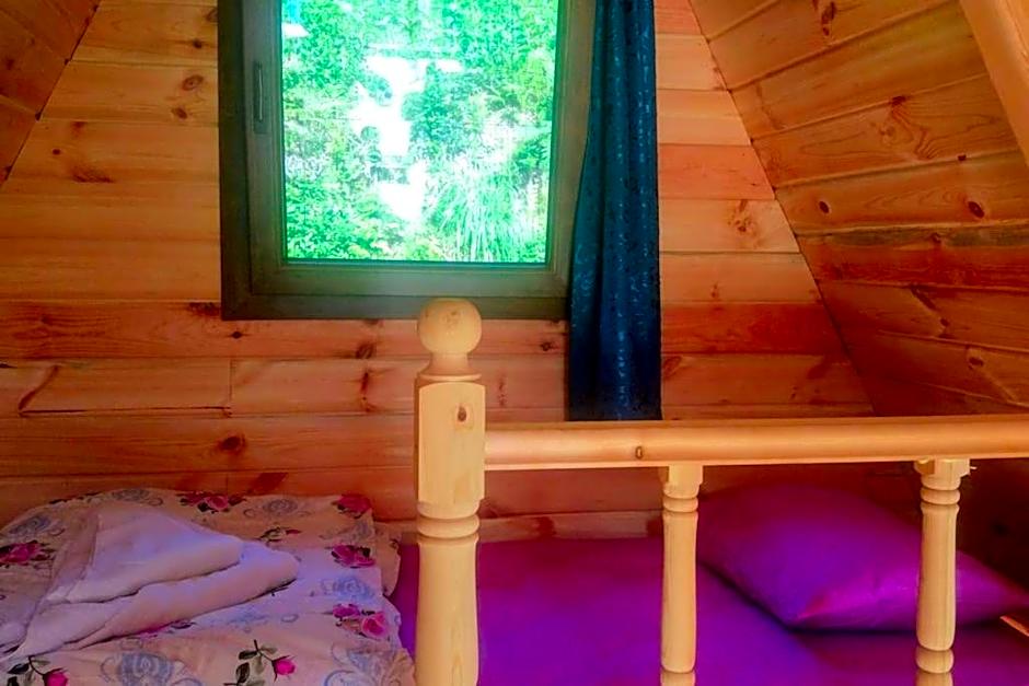 Begi Apart Bungalows Hotel - Çamlıhemşin